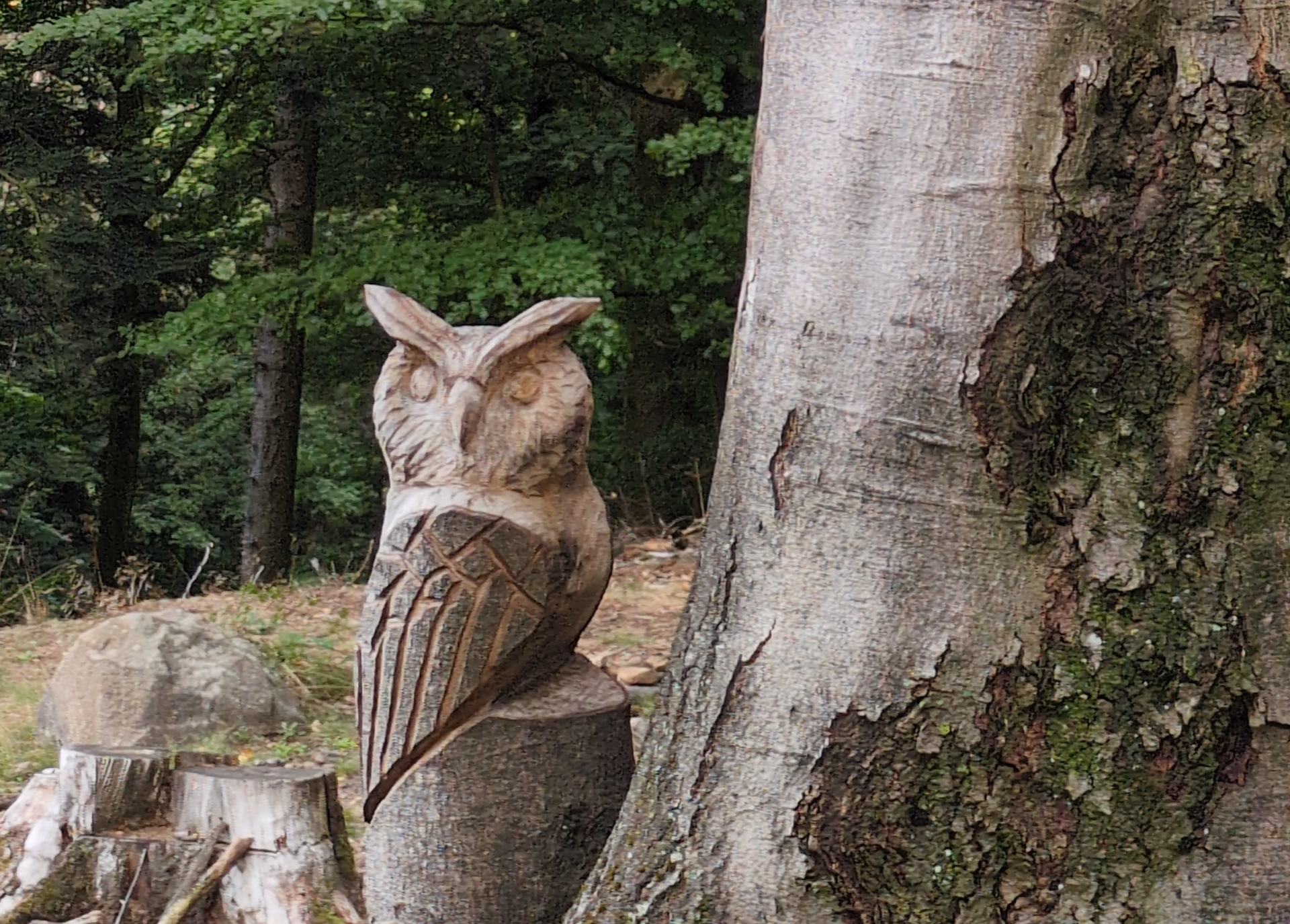 Eule, geschnitzt aus Holz, im Pfälzer Wald