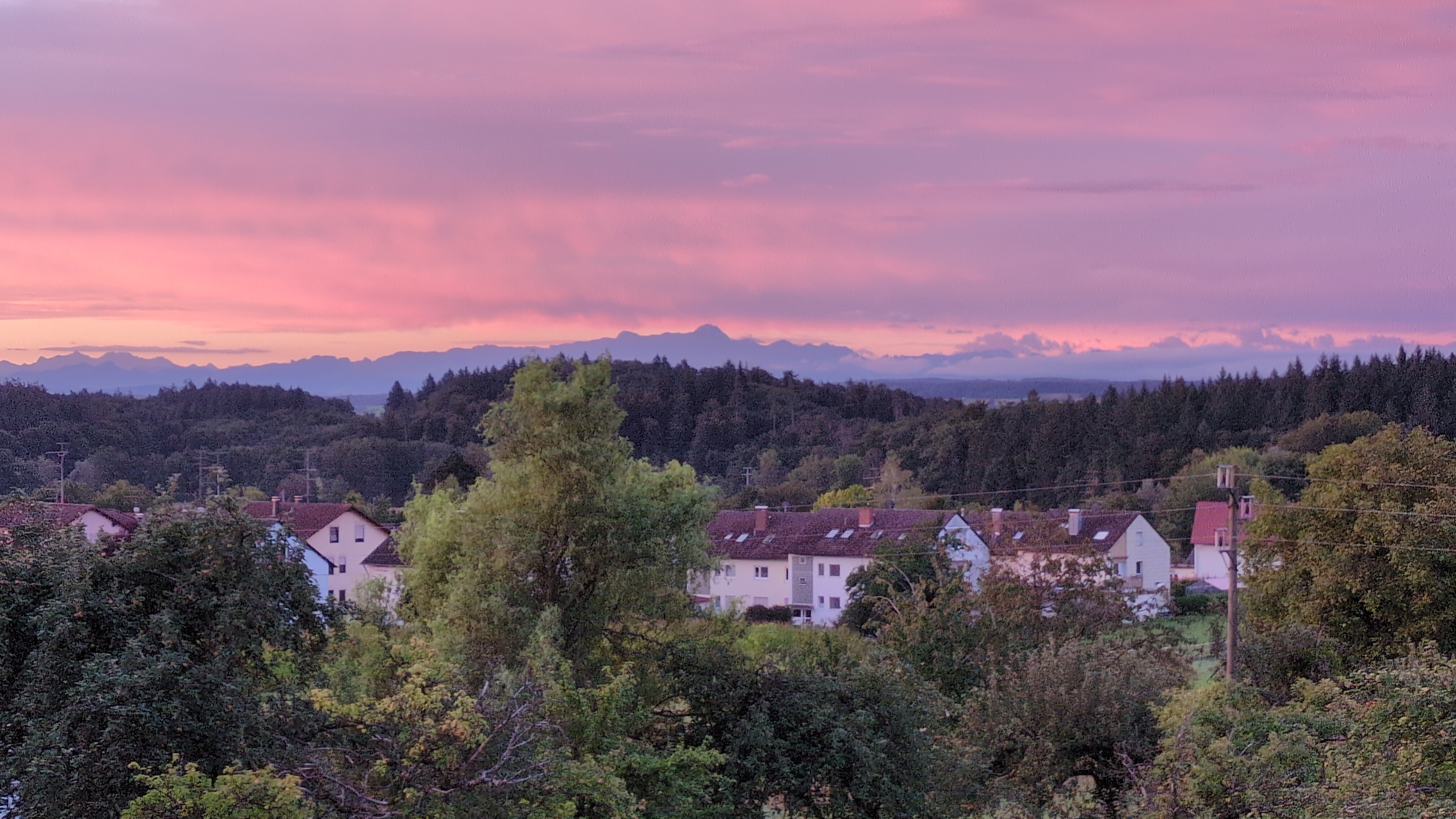Morgenstimmung am Bodensee mit Blick auf den Säntis